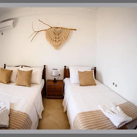 招待所 Dorvin Dhërmi