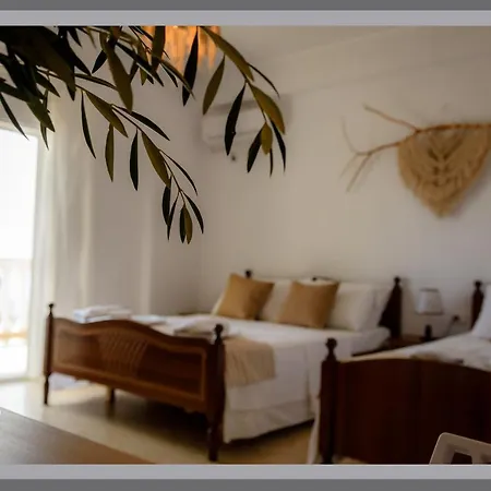 Dorvin Guest house *